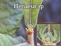 Plants: image 11 0f 12 thumb